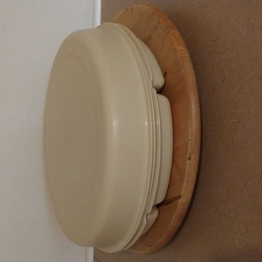 Tupperware veggie And dip carrier